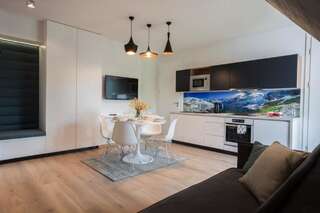 Апартаменты Apartamenty pod Giewontem SPA Закопане Апартаменты с 1 спальней-8